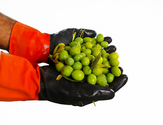 زیتون کنسروی مخلوط